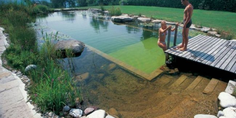 Jak si vyrobit rybník vlastníma rukama: (100+ fotografií s pokyny)